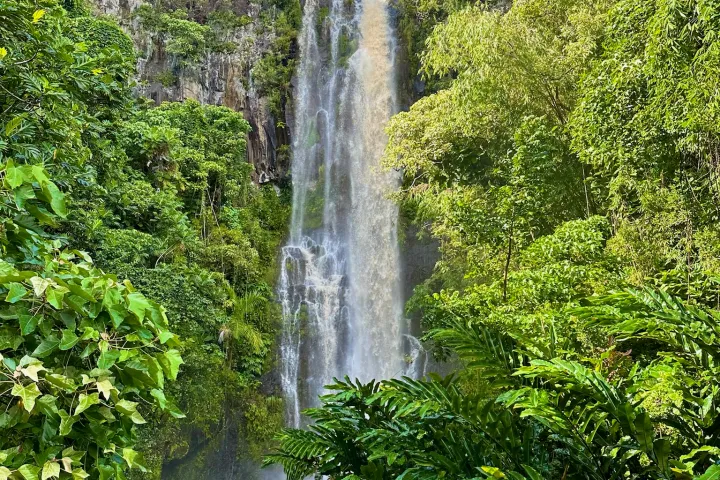 a waterfall surrounded by trees
