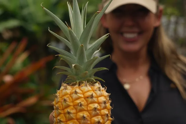 a woman holding a pineapple