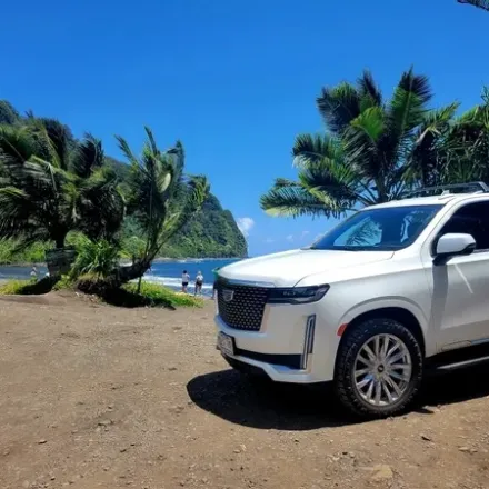 A white at the beach in Maui, Hawaii