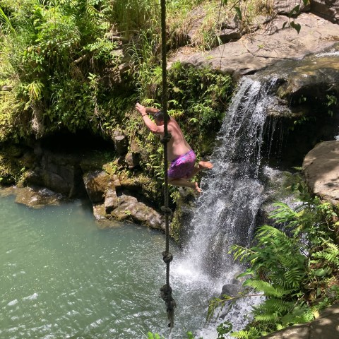 a large waterfall next to a tree