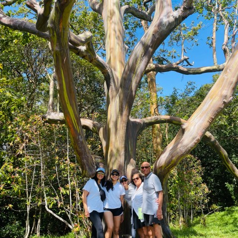 a person standing next to a tree