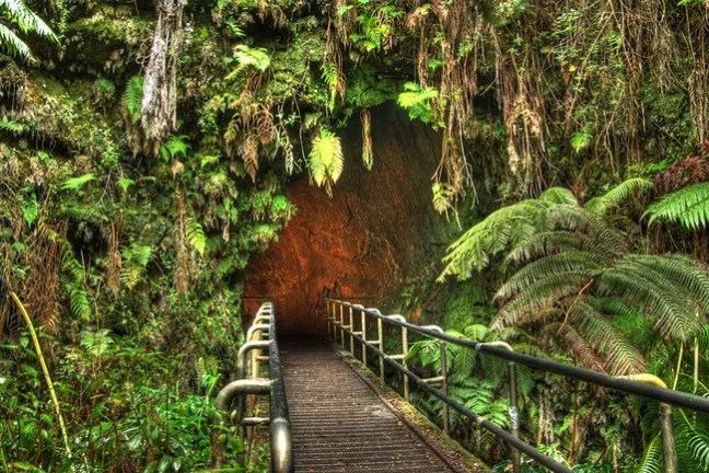 A wooden path leads into a lush, fern-covered cave entrance.