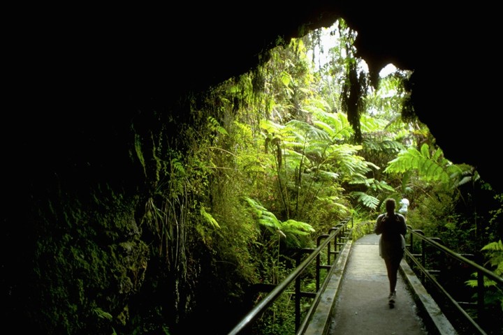 Person walking on path through lush, green cave tunnel.