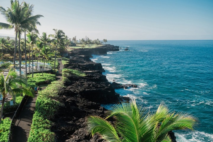 Tropical coastline with palm trees, rocky shore, and blue ocean.